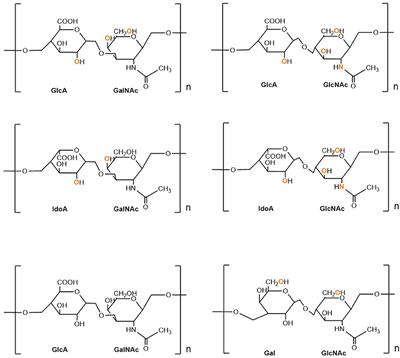 Proteoglycans as Therapeutic Targets in Brain Cancer